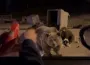 Ayıya yaklaşan vatandaş ölümden döndü