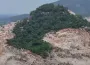 Başvuru yapıldı onaylanırsa İnegöl'de binlerce ağaç kesilecek
