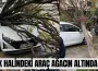 Park halindeki araç devrilen ağacın altında kaldı!