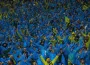 Turkcell Süper Kupa finalini 58 bin 397 taraftar izledi