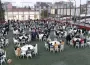 İnegöl’de spor camiası Karadeniz Güvenspor iftarında buluştu