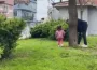 Parktan topladığı bitki faciaya neden oluyordu