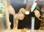 Gıda güvenliğinde vatandaş da denetçi oldu