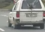İnegöl trafiğinde şaşırtan görüntü