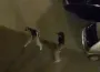Sokak ortasında yumruklar havada uçuştu