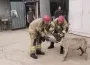 İnegöl'de köpek kurtarma operasyonu
