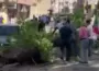 Seyir halindeki araçların üzerine ağaç devrildi