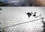 Kız meselesi kanlı bitti!