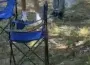 Dev yılan ekipleri harekete geçirdi