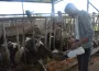 İnegöl'deki gencin hikayesi duyanları şaşırtıyor!