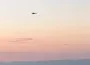 Sabahın ilk ışıklarında helikopter destekli dev baskın!