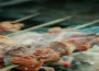 İnegöl’de bugün mangal yapılır mı, nerede yapılır? Yağış planları bozacak mı?