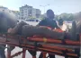 Ormanda kestiği ağaç üzerine düştü