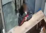 100 milyonluk vurgunun üstüne yaşlı çifte tatlı ikram ettiler