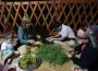 Dağlardan Toplayıp 40 Gün Güneşte Bekletiyorlar! İşte Doğal Şifa Sırrı