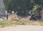 İnegöl'de mahalleliyi isyan ettiren yangın!