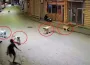 Başıboş Köpek Dehşeti Kamerada! Küçük Çocuk Ölümden Döndü
