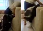 Küçük Çocuğun Gözü Önünde Öldüresiye Dövüldü