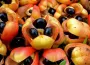 Ackee Meyvesi Nasıl Tüketilir, Nerede Yetişir ve Neden Taze Satılmıyor?