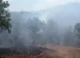 Bursa'da korkutan orman yangını!
