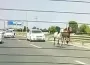 İnegöl'de trafiği birbirine kattılar!