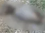 İnegöl’de Dehşete Düşüren Olay! Bahçede Bulundu