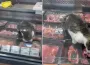 Ünlü markette olay yaratan görüntü!