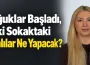Soğuklar Başladı, Peki Sokaktaki Canlılar Ne Yapacak?