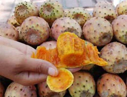 Cübbeli ile Baykal neler konuştu?