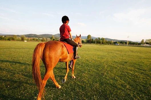Atların çocuk gelişimine olan 16 faydası