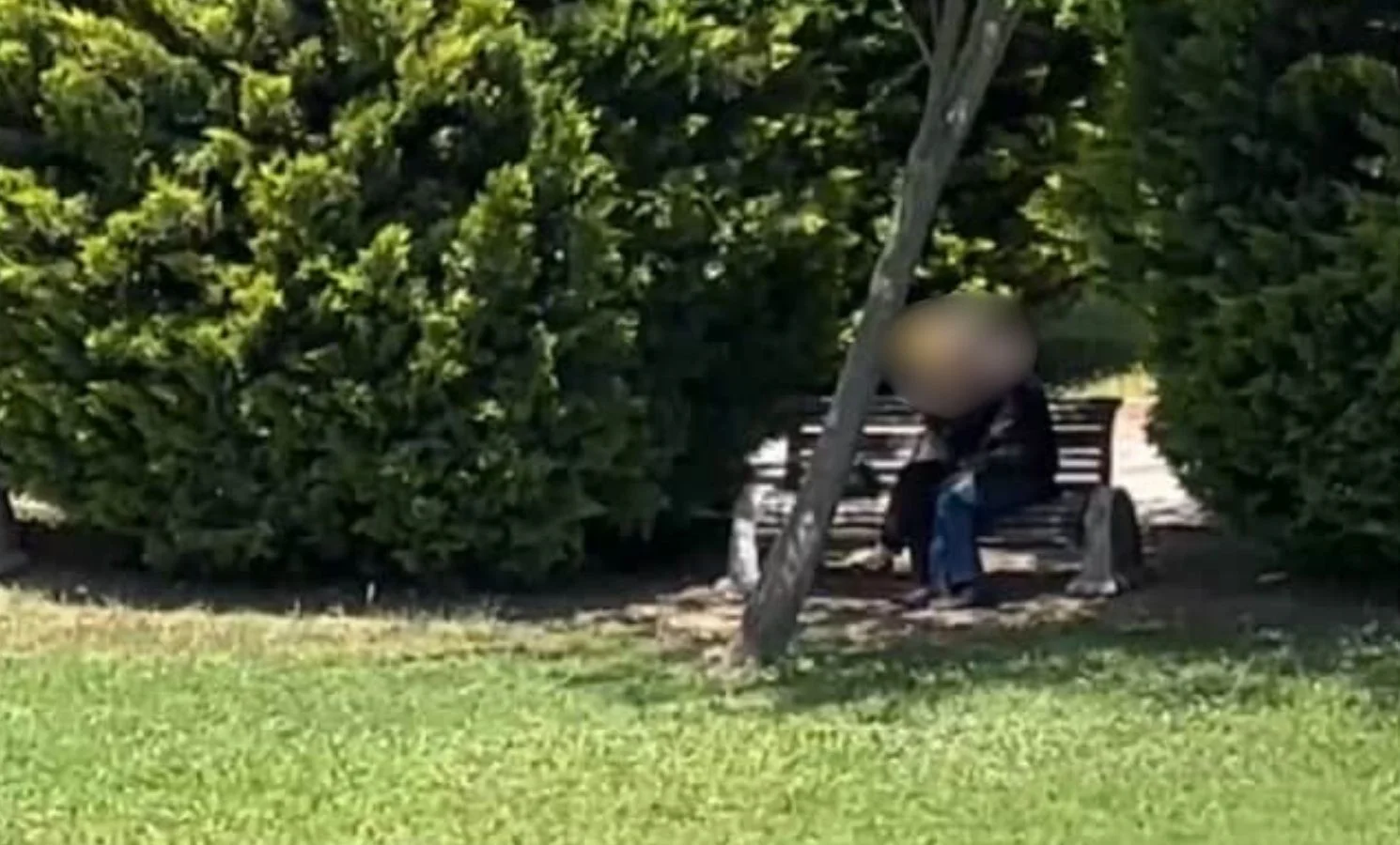 İnegöl Şehir Parkı'nda kimseye aldırış etmeden dakikalarca!!!