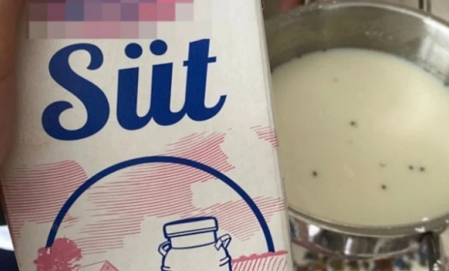 İnegöl'de mide bulandıran görüntü!