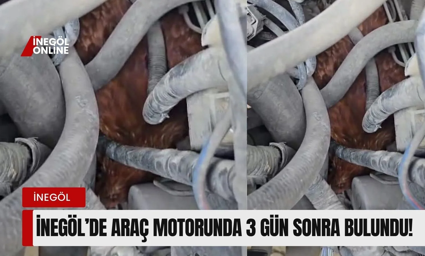 İnegöl'de araç motorunda 3 gün sonra bulundu!