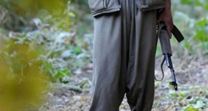 PKK'nın nasıl silah bırakacağı açıklandı