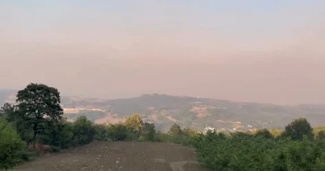 Bilecik yangınının dumanı İnegöl'e ulaştı