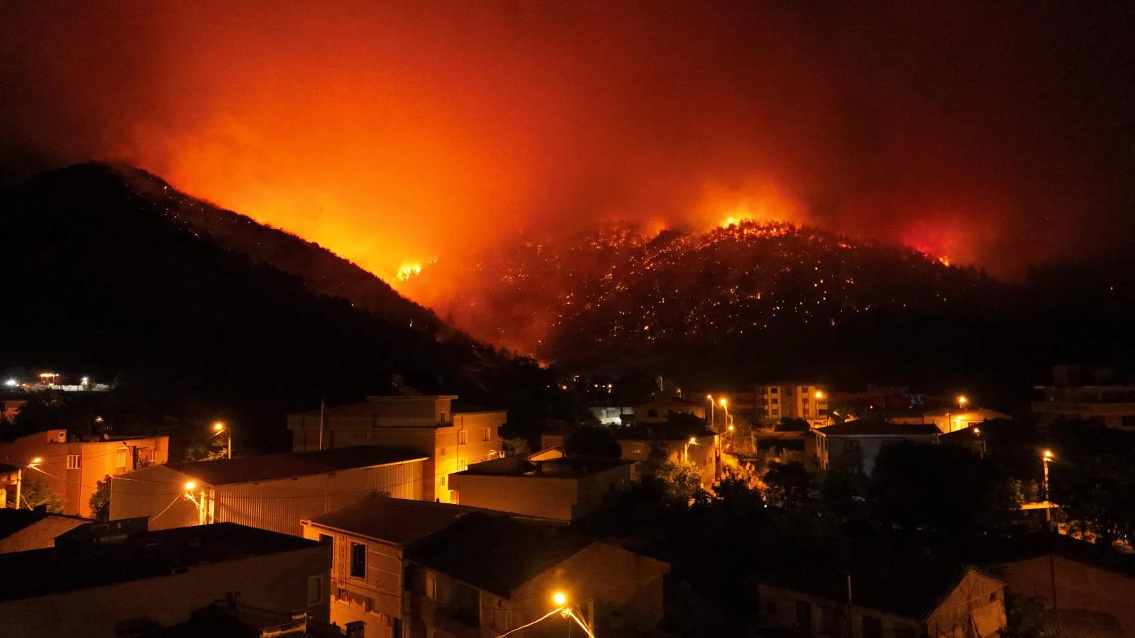 Bursa'da ki orman yangınından acı haber, 1 şehit