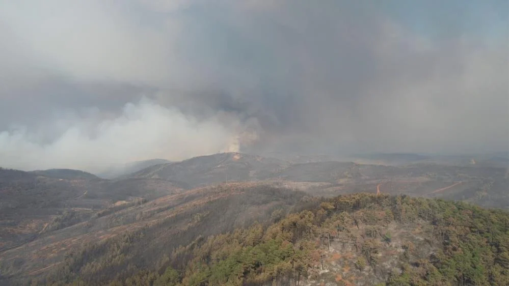 Bursa'da ki yangına kaç kişilik ekiple müdahale ediliyor