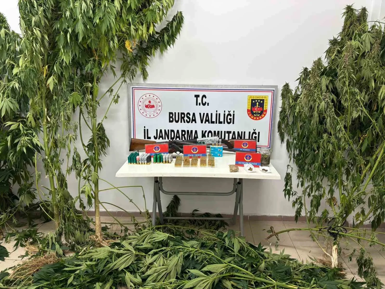Jandarma ekipleri suça geçit vermedi: Çok sayıda mühimmat ele geçirildi