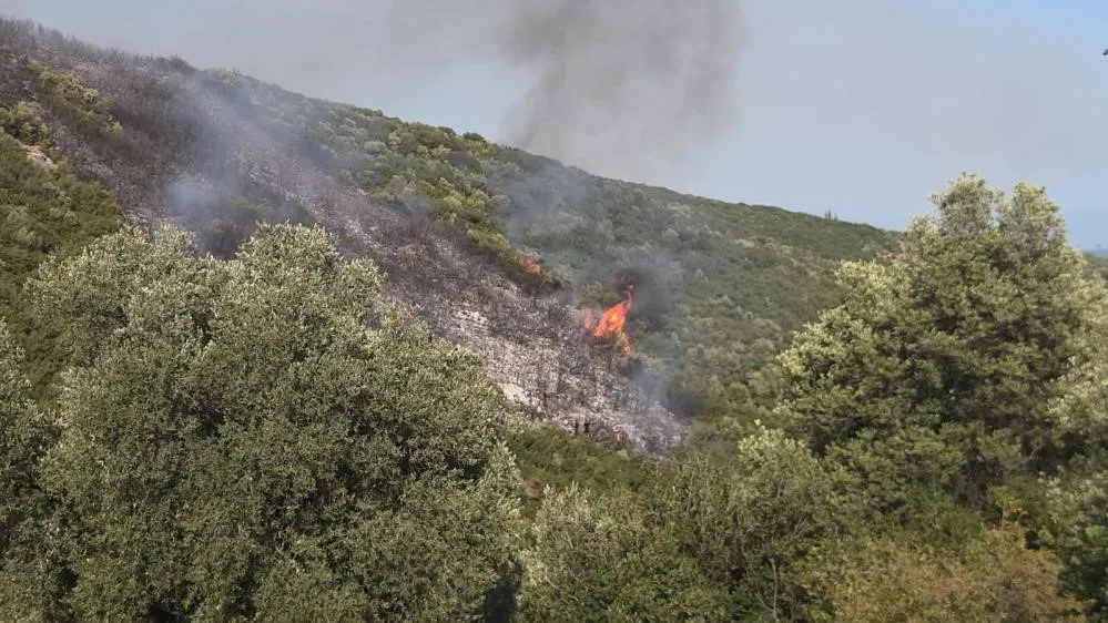 Bursa orman yangınında 1 gözaltı