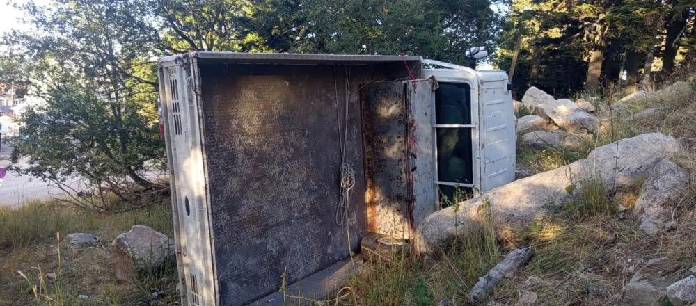 Virajı alamayan kamyonet şarampole uçtu