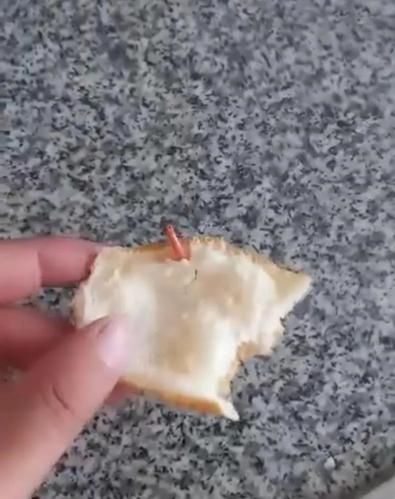 Ekmeğin içinden çıkan şey yok artık dedirtti!