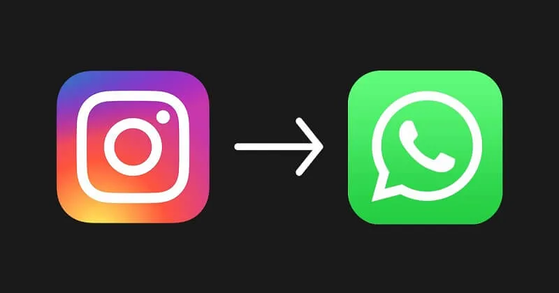 Instagram'ın sevilen özelliği whatsapp'a geliyor