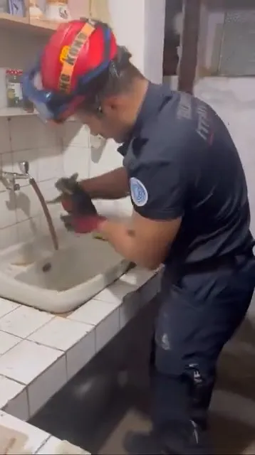 Kedidir ne yapsa yeridir: Boruya girdi, mahalle seferber oldu!