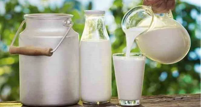 Çiğ sütün litre fiyatı güncellendi: İşte detaylar