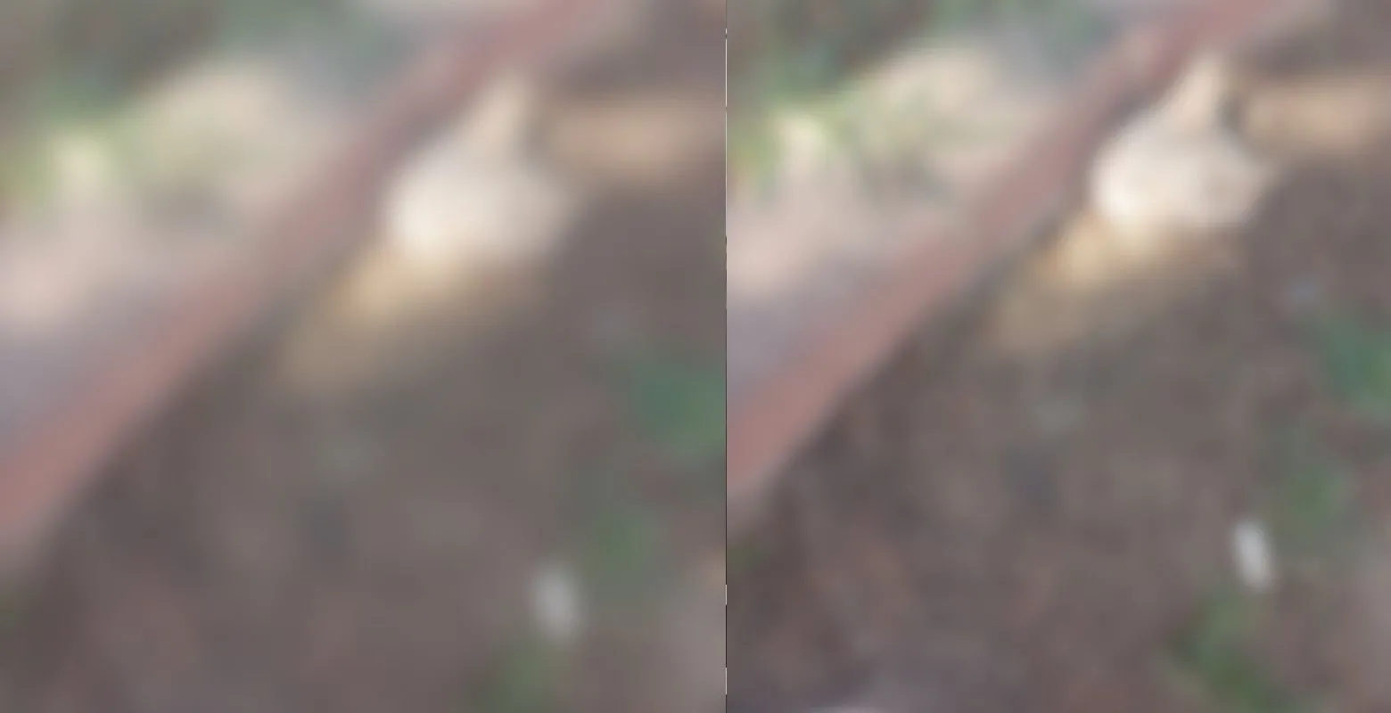 İnegöl'de çocuk parkında kesik başı bulundu