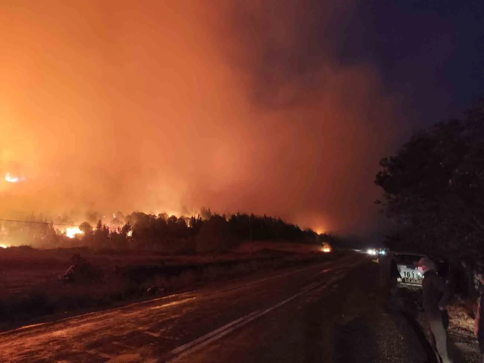 Bursa'da Orman Yangını Kontrol Altına Alınamadı