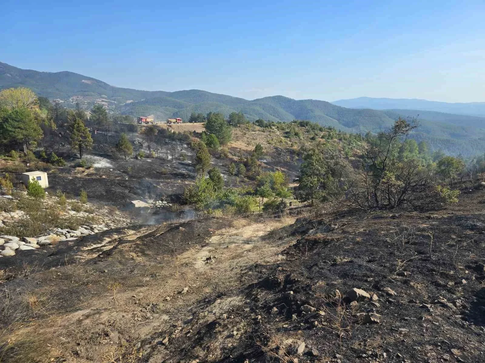 Piknik Yangını Faciaya Neden Oluyordu