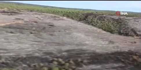 Bursa'da yangından geriye içler acısı görüntü kaldı