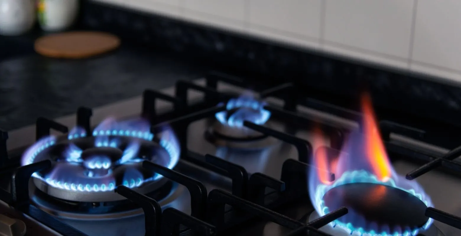 Doğalgaz destek ödemeleri başladı!