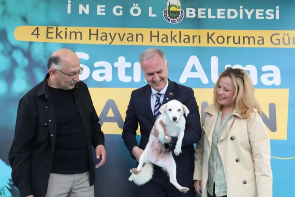 İnegöl’de 500 can dost için doğal yaşam alanı kuruluyor